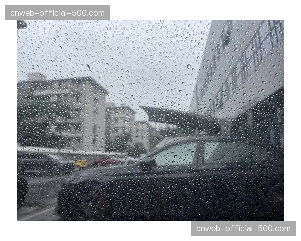 气象台更新慕尼黑决赛日天气：小雨转阴，湿润草皮或利好技术型球队发挥